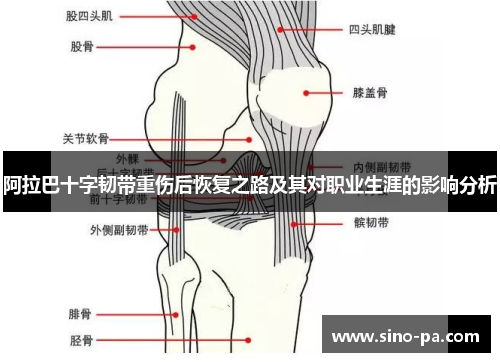阿拉巴十字韧带重伤后恢复之路及其对职业生涯的影响分析 阿拉巴十字韧带重伤后恢复之路及其对职业生涯的影响分析
