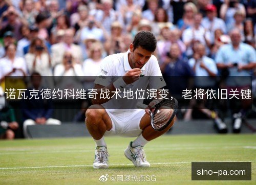 诺瓦克德约科维奇战术地位演变,老将依旧关键 诺瓦克德约科维奇战术地位演变,老将依旧关键